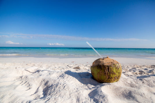 Coconut Oil explained